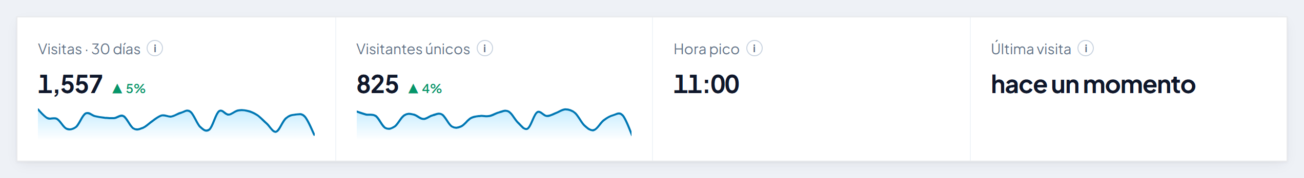 Visitas, visitantes únicos, hora pico y última visita